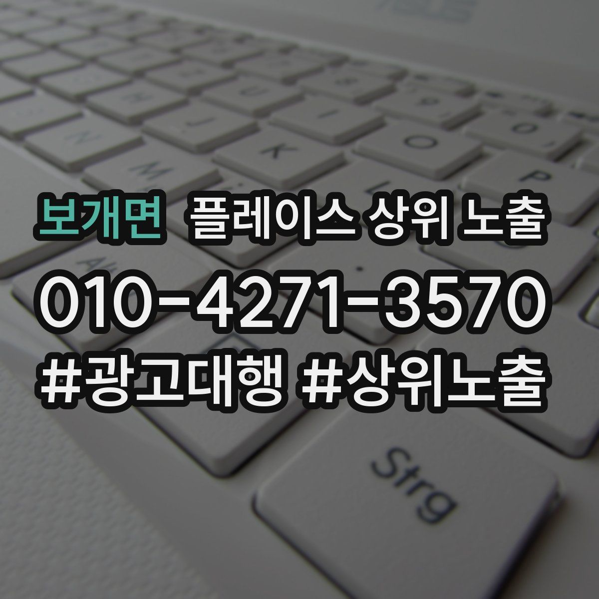 보개면 플레이스 상위 노출 안내