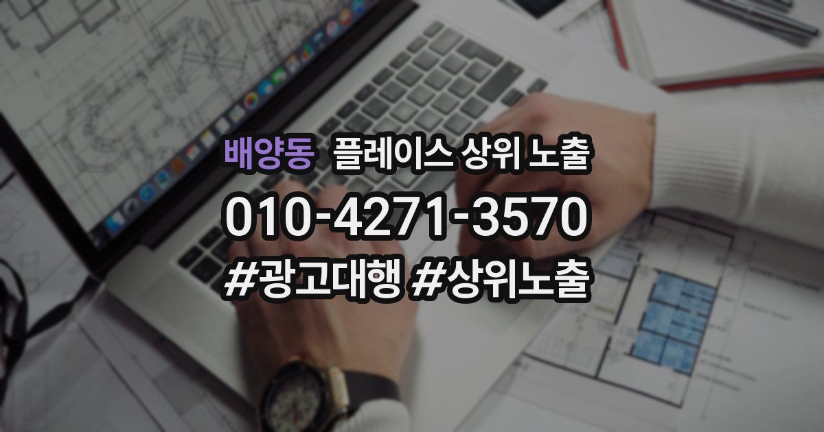배양동 플레이스 상위 노출 안내