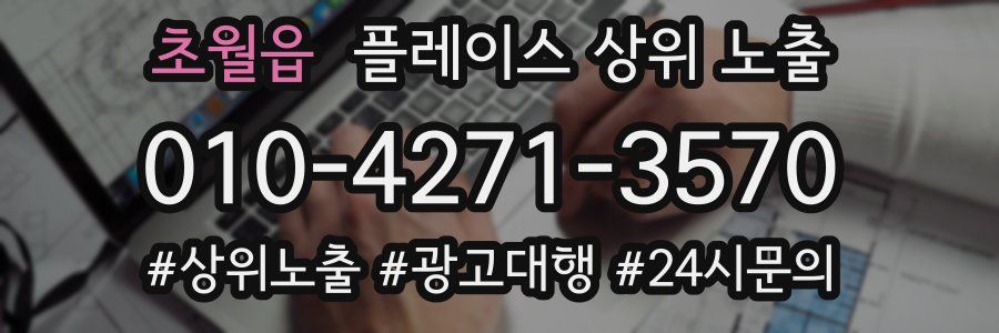 초월읍 플레이스 상위 노출 개선