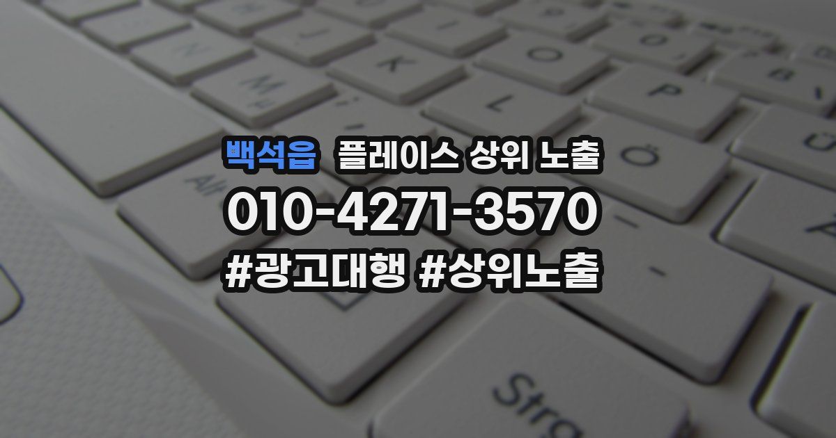 백석읍 플레이스 상위 노출 개선