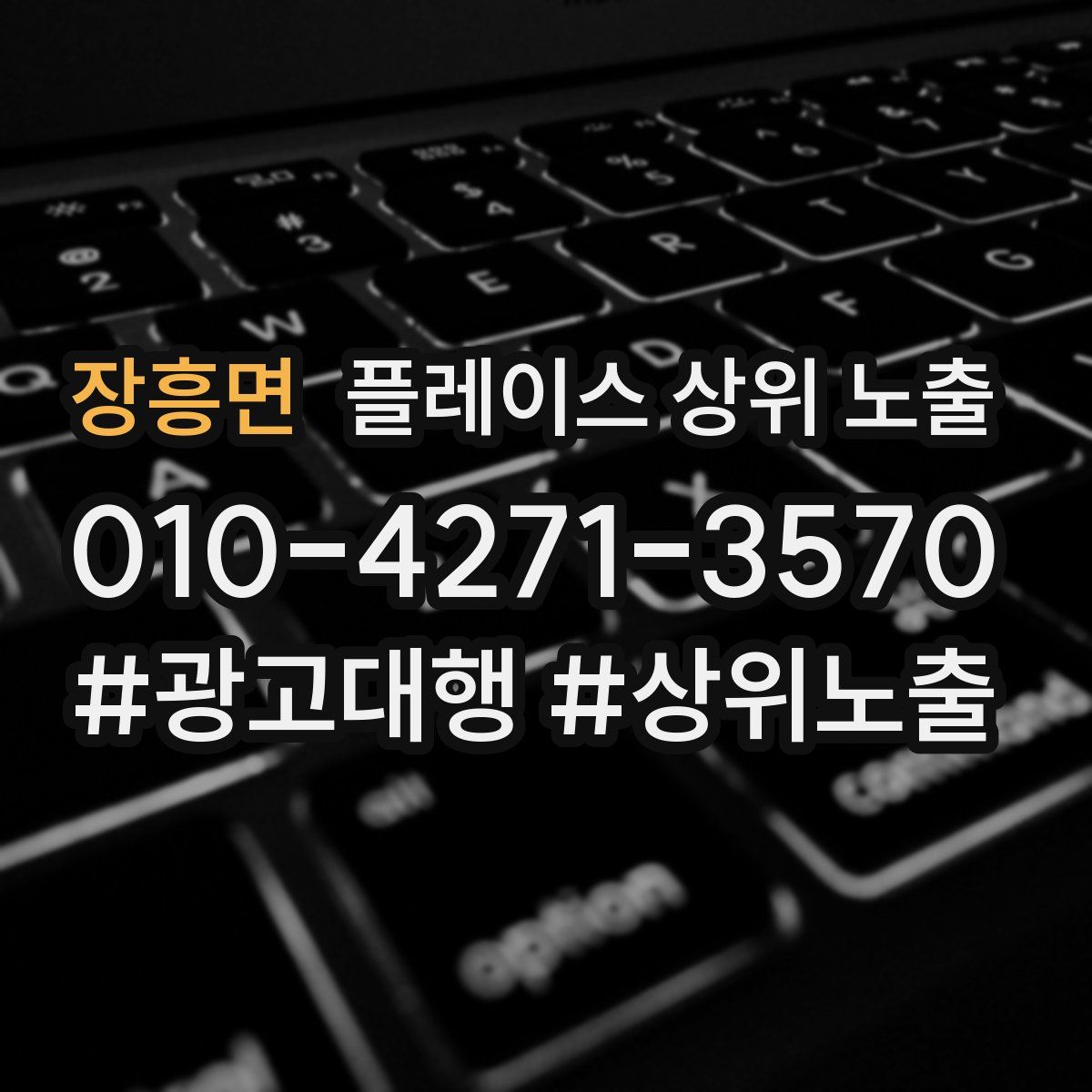 장흥면 플레이스 상위 노출 상담