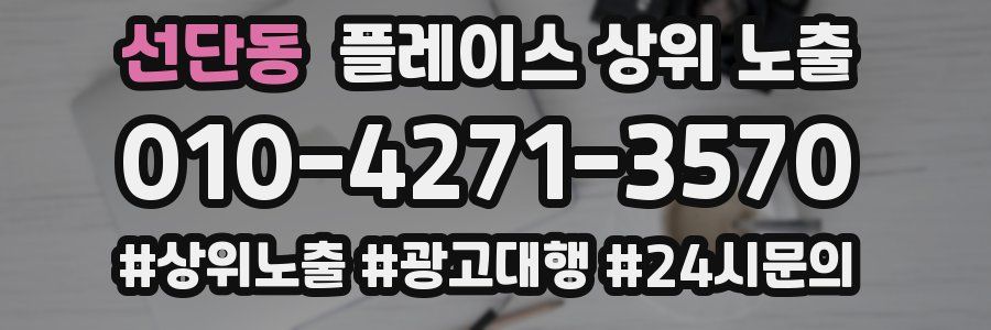 선단동 플레이스 상위 노출 개선