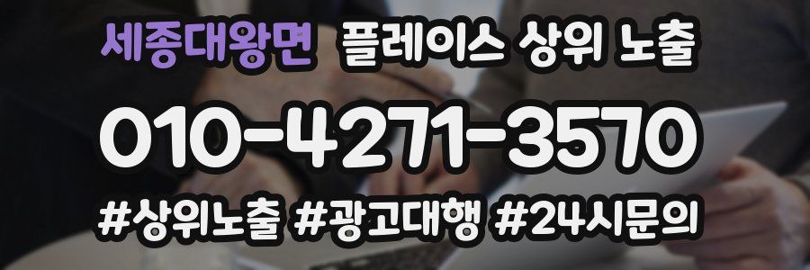 세종대왕면 플레이스 상위 노출 개선