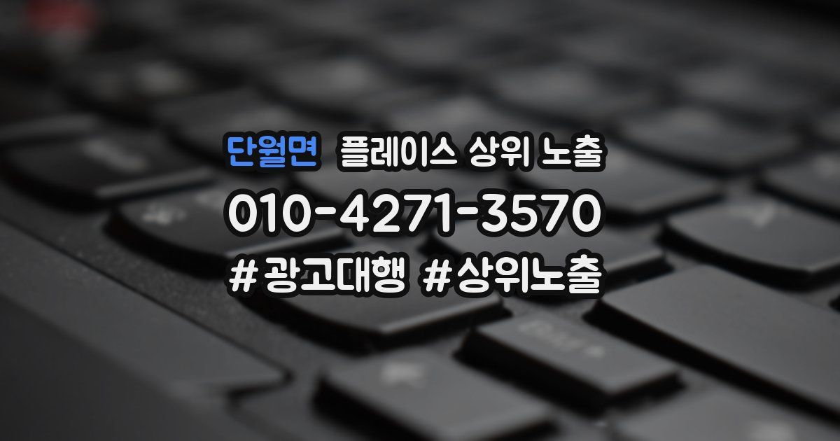 단월면 플레이스 상위 노출 상담