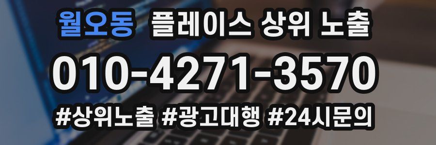 월오동 플레이스 상위 노출 상담