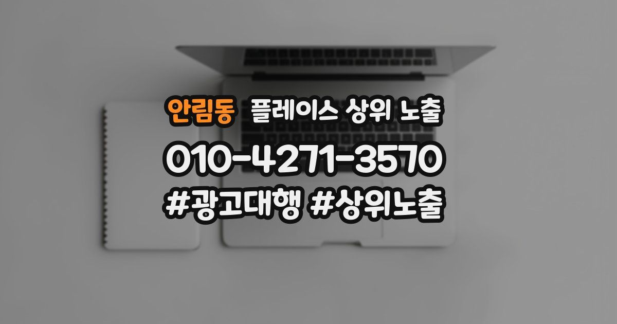 안림동 플레이스 상위 노출 상담