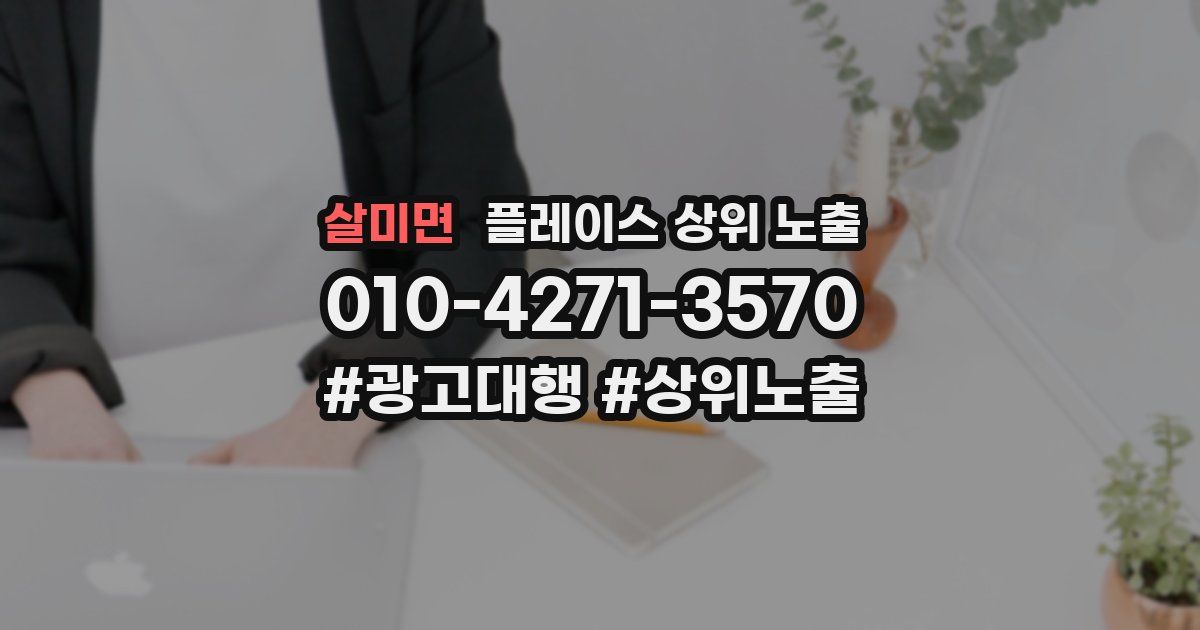 살미면 플레이스 상위 노출 개선