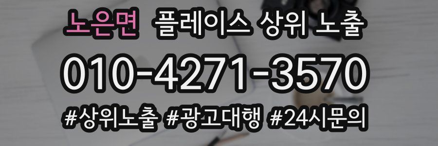 노은면 플레이스 상위 노출 상담