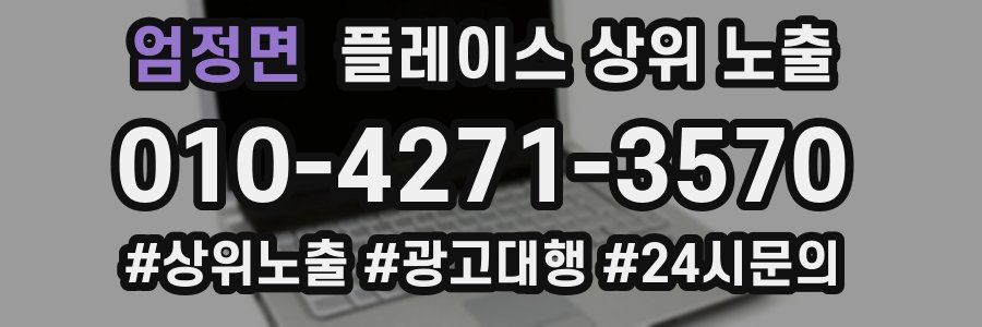 엄정면 플레이스 상위 노출 개선