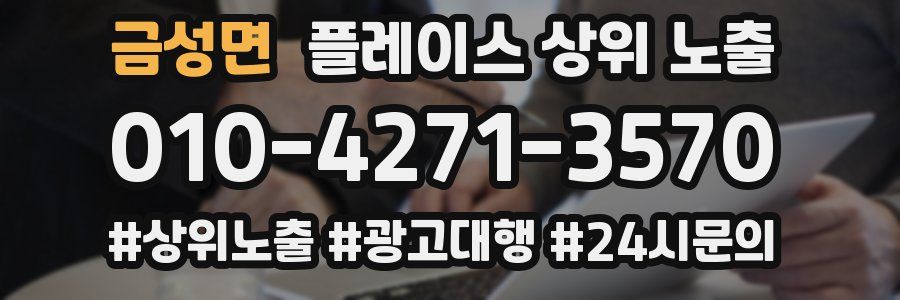 금성면 플레이스 상위 노출 안내