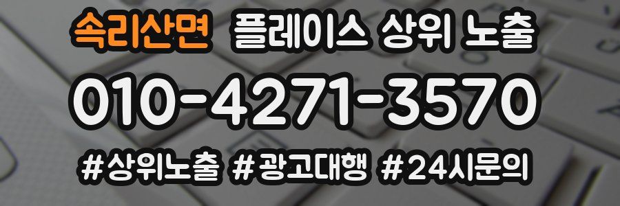속리산면 플레이스 상위 노출 안내