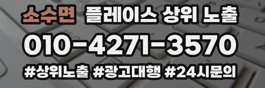 소수면 플레이스 상위 노출 개선