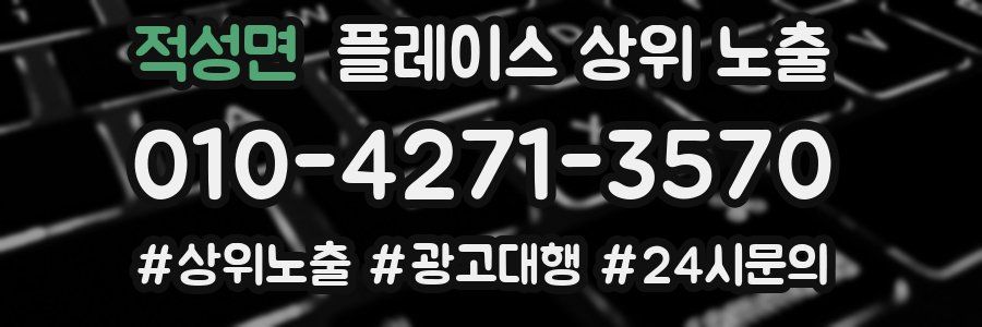 적성면 플레이스 상위 노출 개선