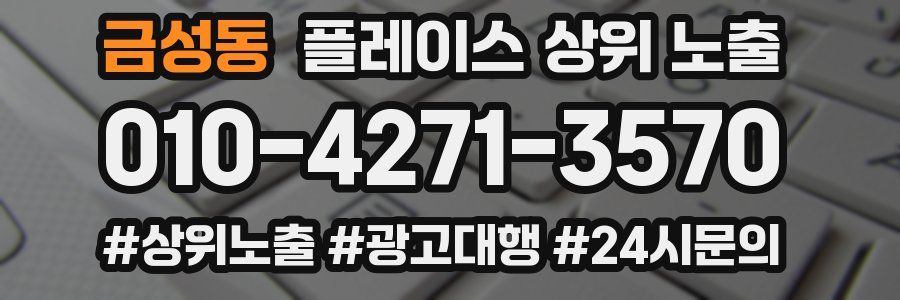 금성동 플레이스 상위 노출 상담