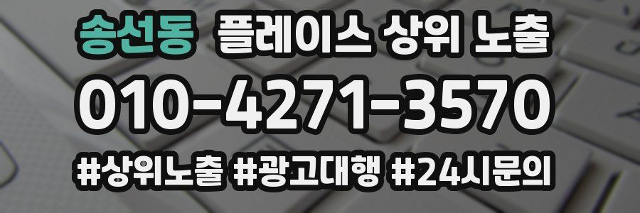 송선동 플레이스 상위 노출
