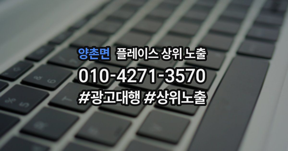 양촌면 플레이스 상위 노출 개선
