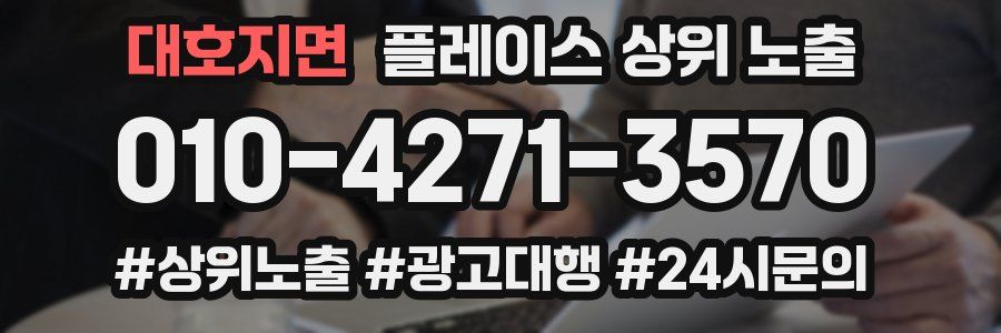 대호지면 플레이스 상위 노출 개선