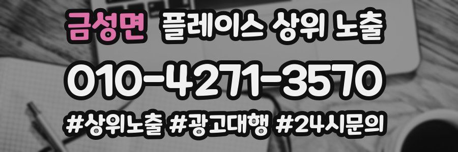 금성면 플레이스 상위 노출 전략