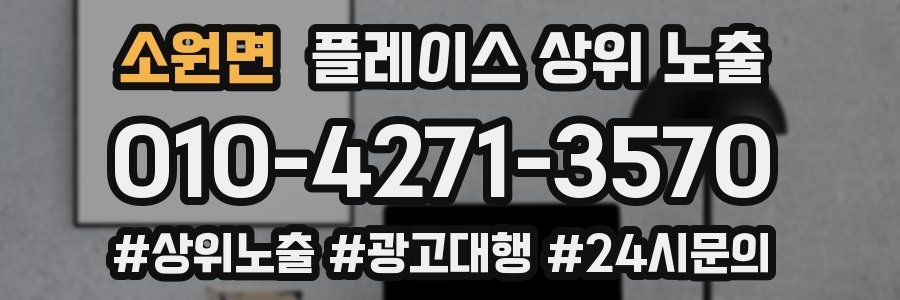 소원면 플레이스 상위 노출 상담