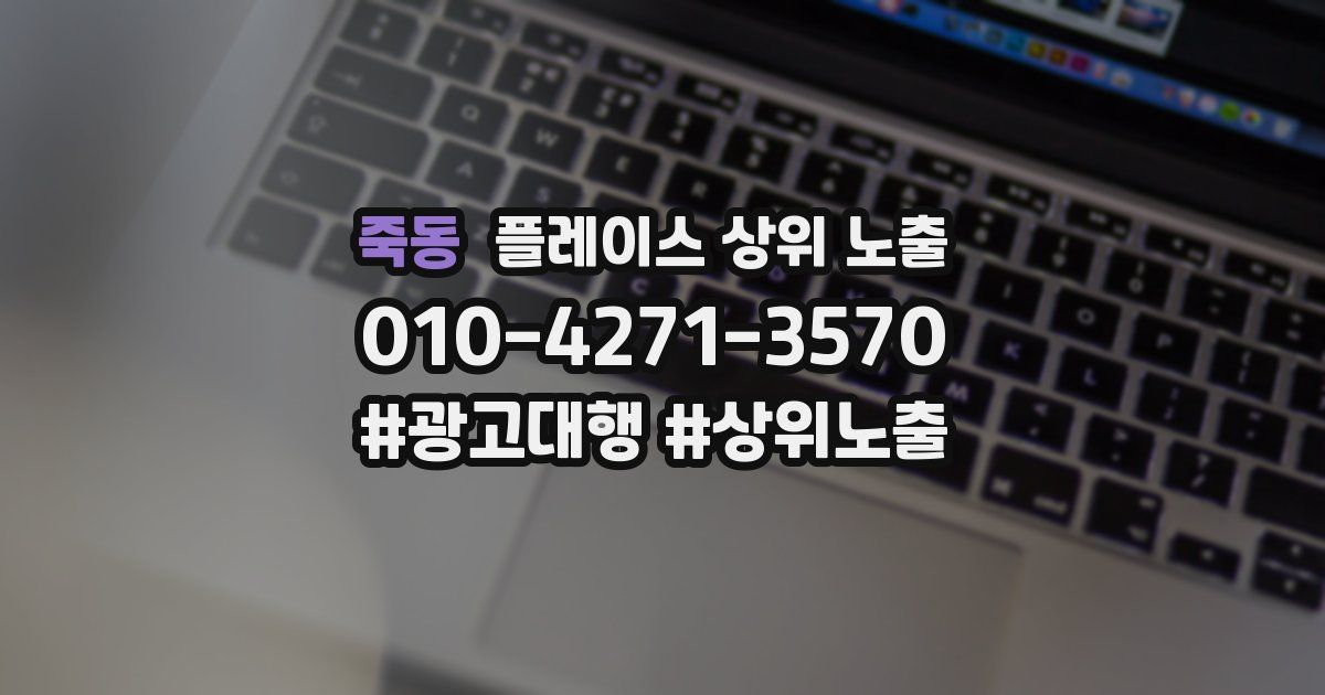 죽동 플레이스 상위 노출 상담
