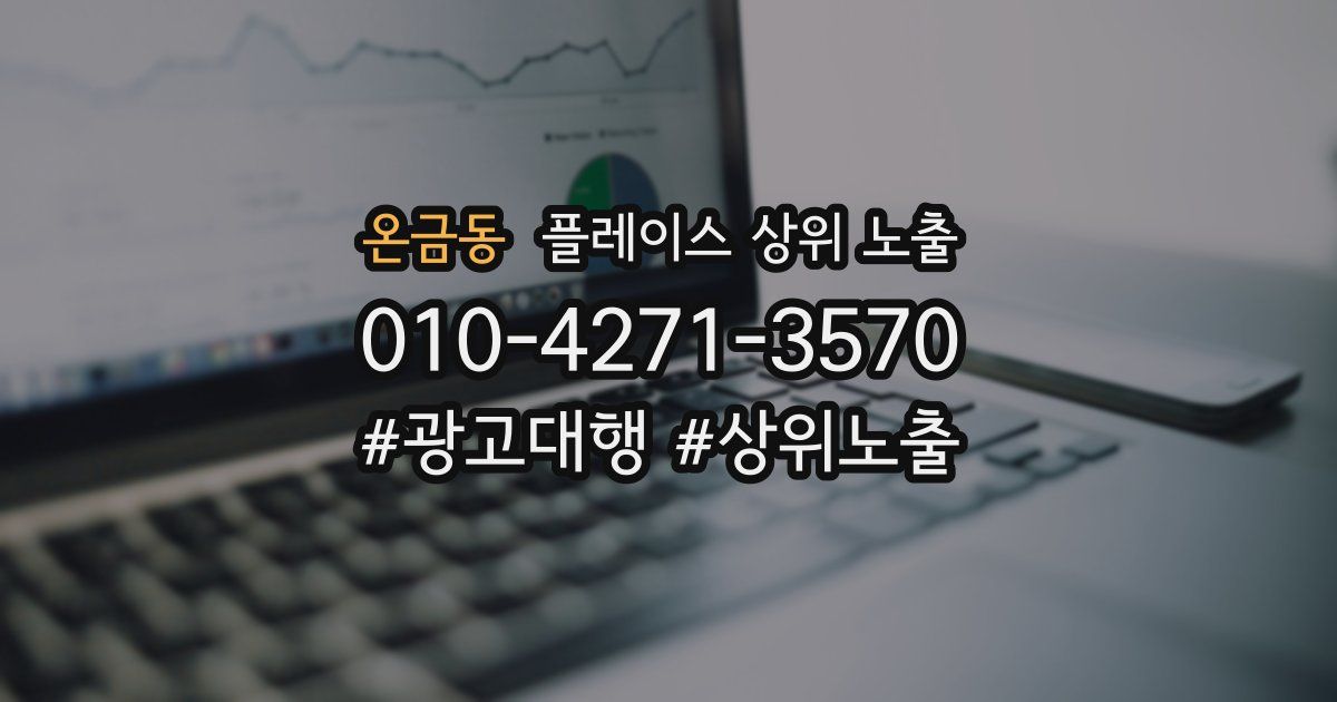 온금동 플레이스 상위 노출 개선