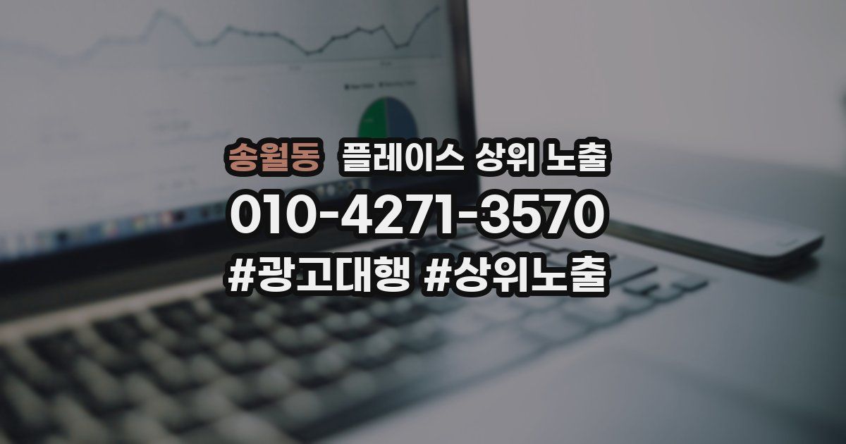 송월동 플레이스 상위 노출 안내