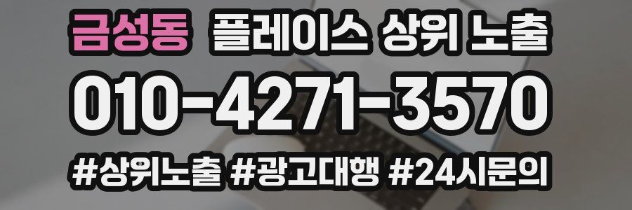 금성동 플레이스 상위 노출 가이드