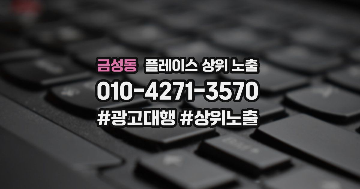 금성동 플레이스 상위 노출