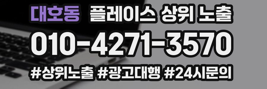대호동 플레이스 상위 노출 안내