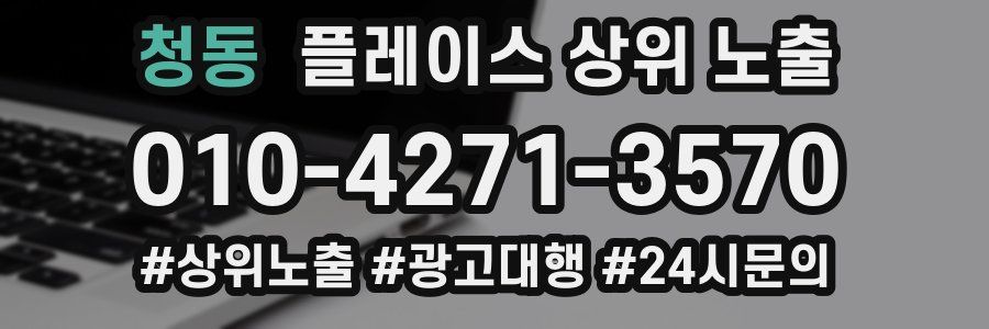 청동 플레이스 상위 노출 안내