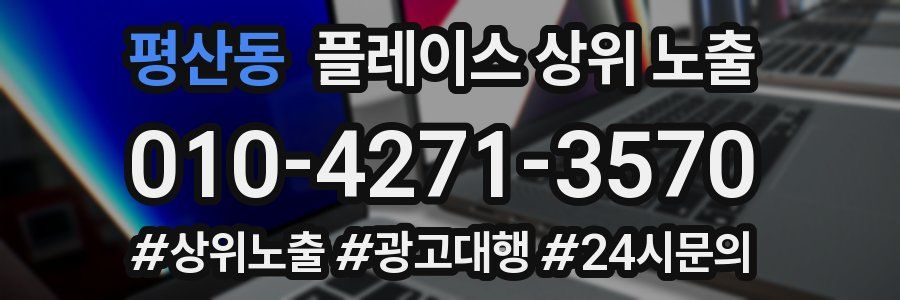 평산동 플레이스 상위 노출 상담