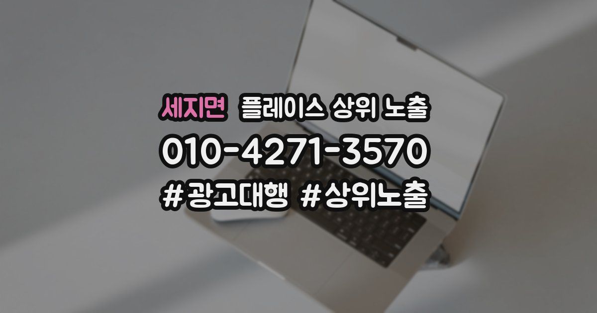 세지면 플레이스 상위 노출 안내