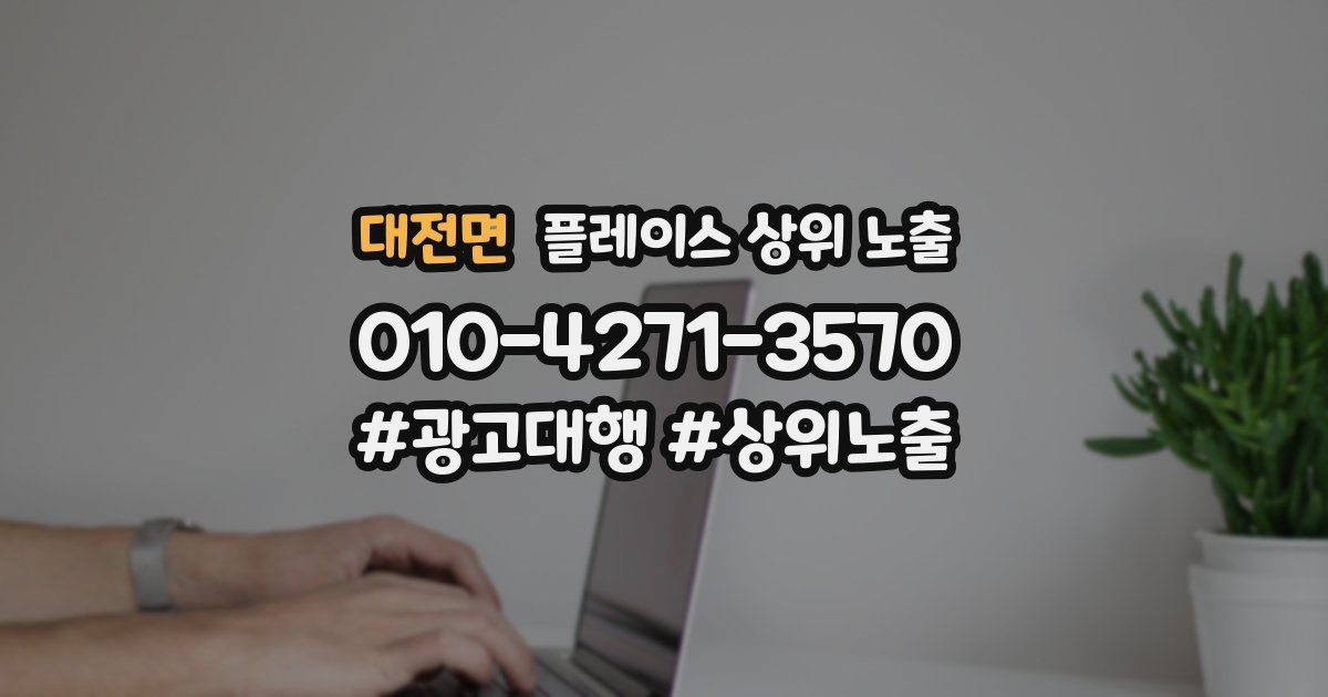 대전면 플레이스 상위 노출 상담