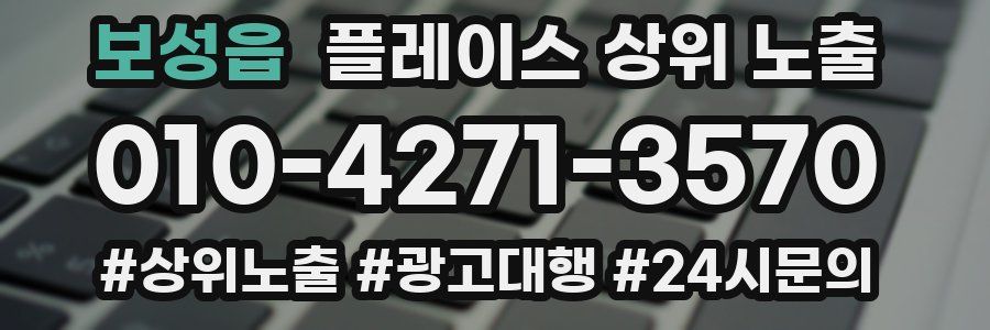 보성읍 플레이스 상위 노출 개선