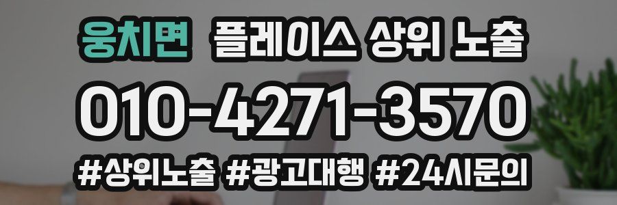 웅치면 플레이스 상위 노출