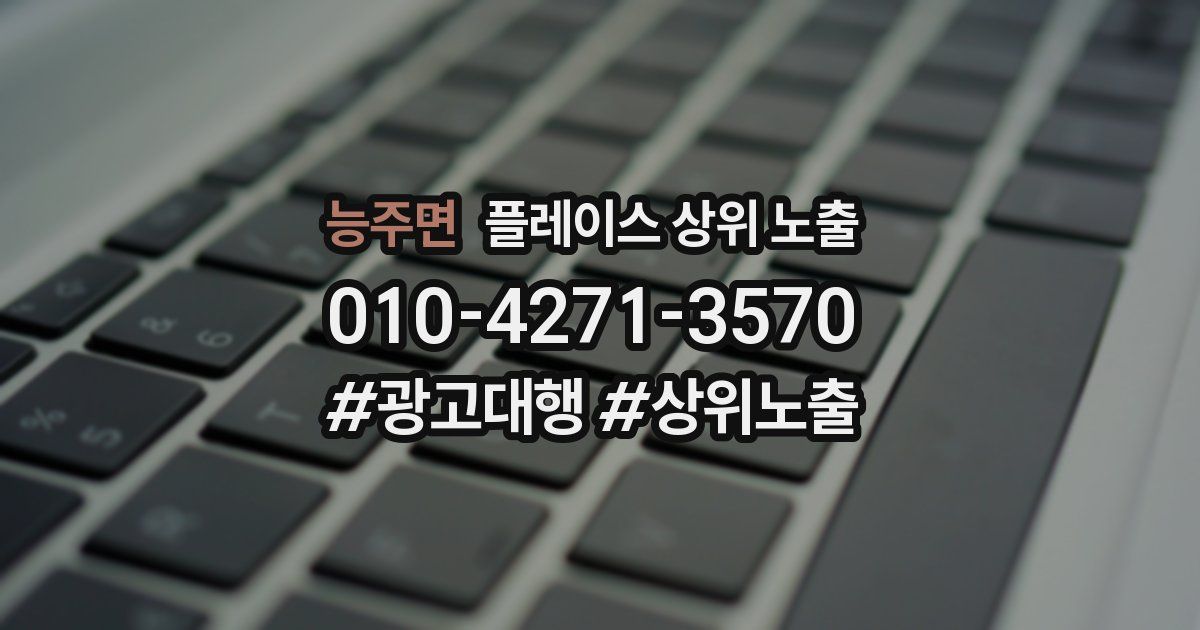 능주면 플레이스 상위 노출 상담