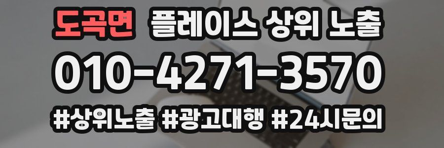 도곡면 플레이스 상위 노출
