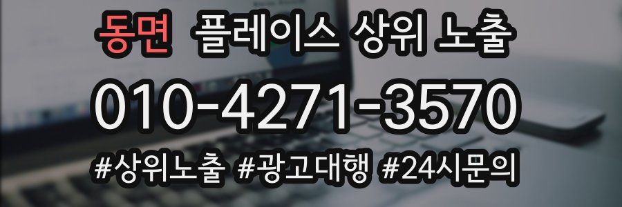 동면 플레이스 상위 노출 상담