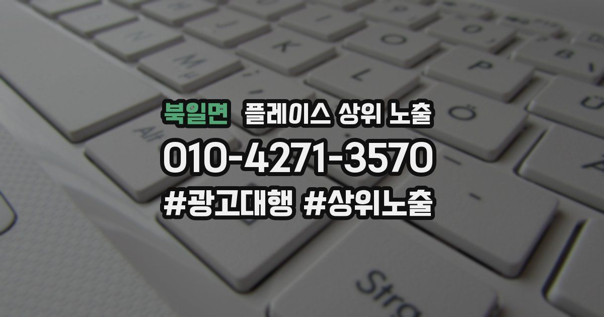 북일면 플레이스 상위 노출 상담