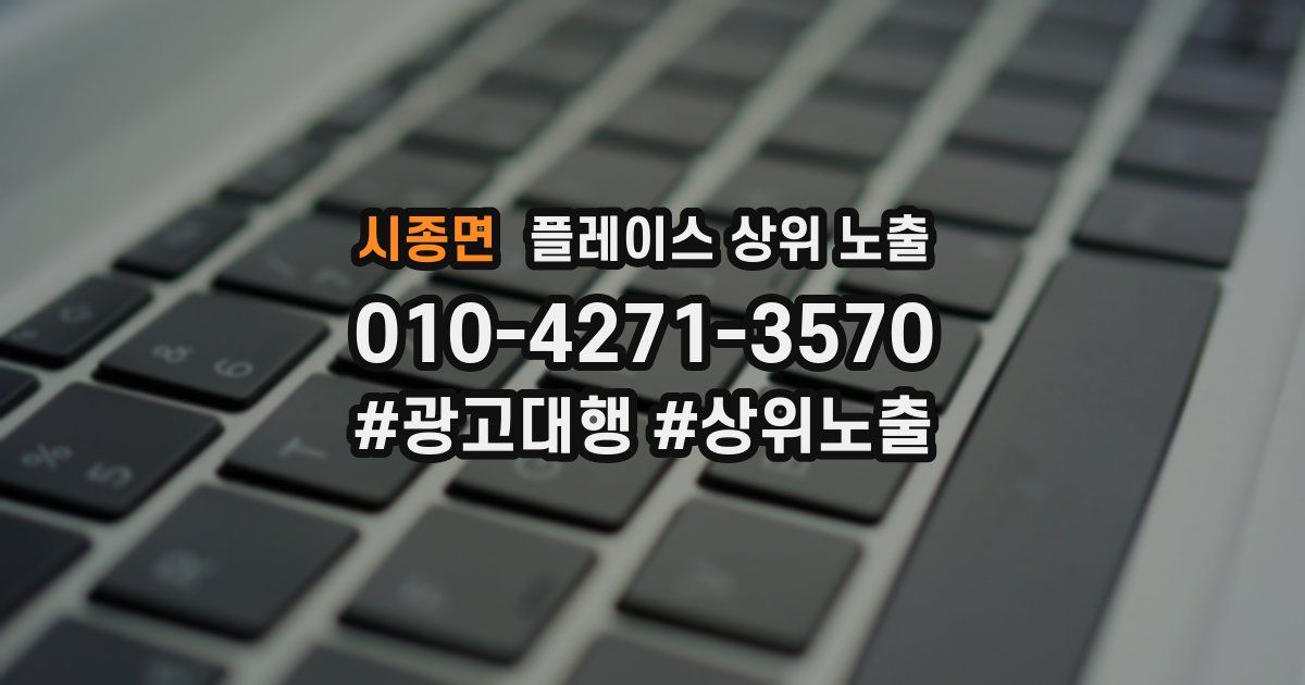 시종면 플레이스 상위 노출 개선