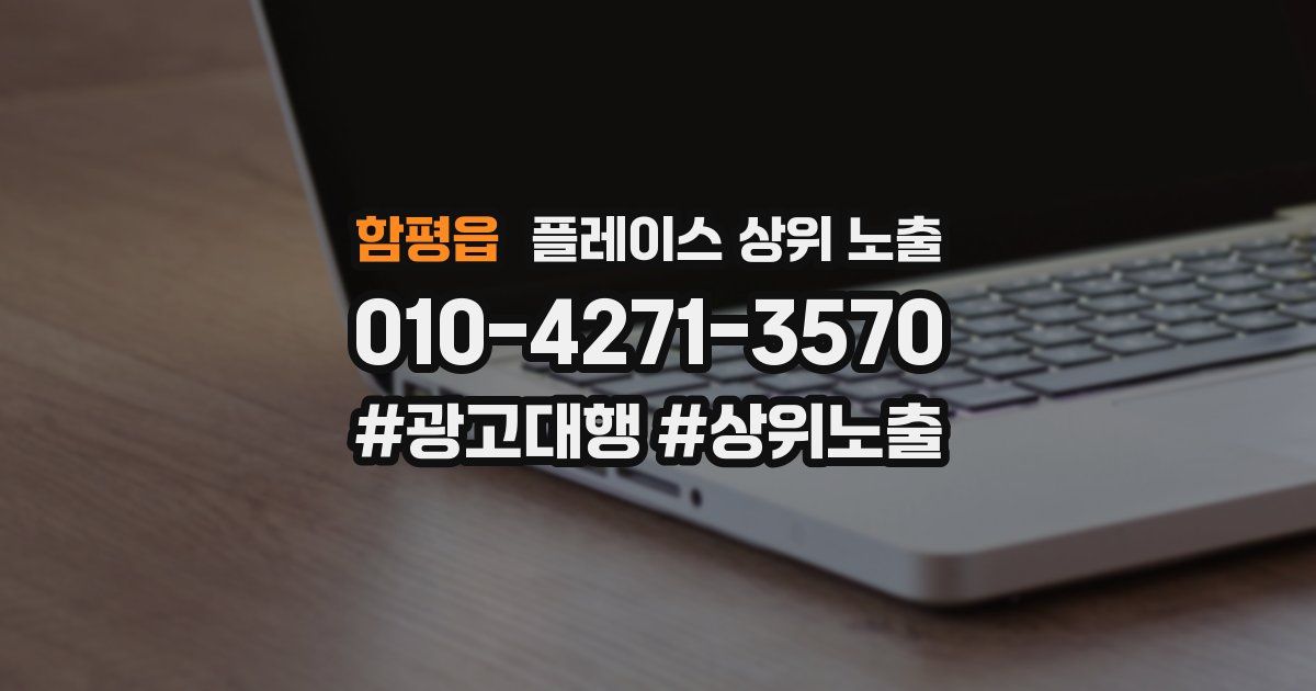 함평읍 플레이스 상위 노출 전략