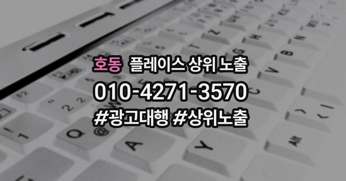 호동 플레이스 상위 노출 전략