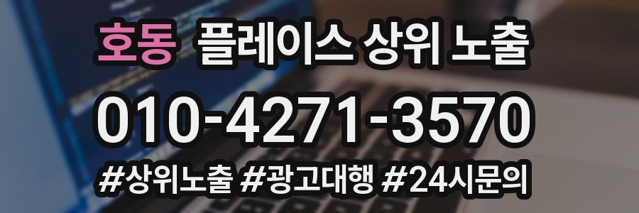 호동 플레이스 상위 노출