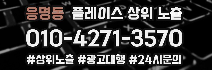 응명동 플레이스 상위 노출 개선