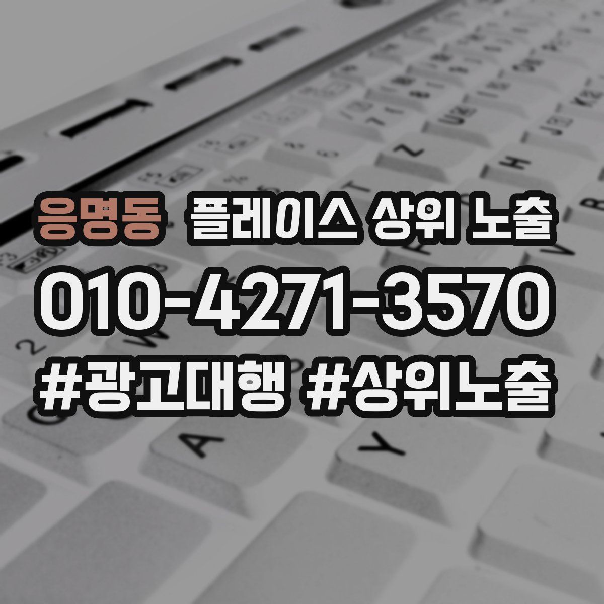 응명동 플레이스 상위 노출 상담