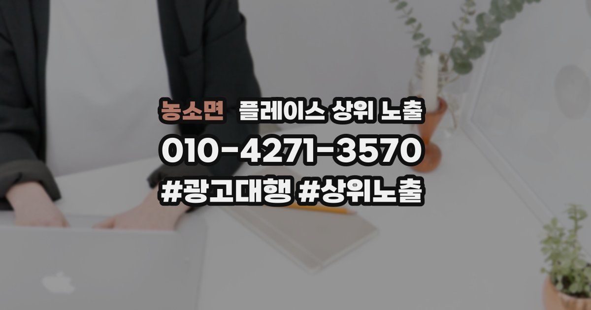 농소면 플레이스 상위 노출 상담