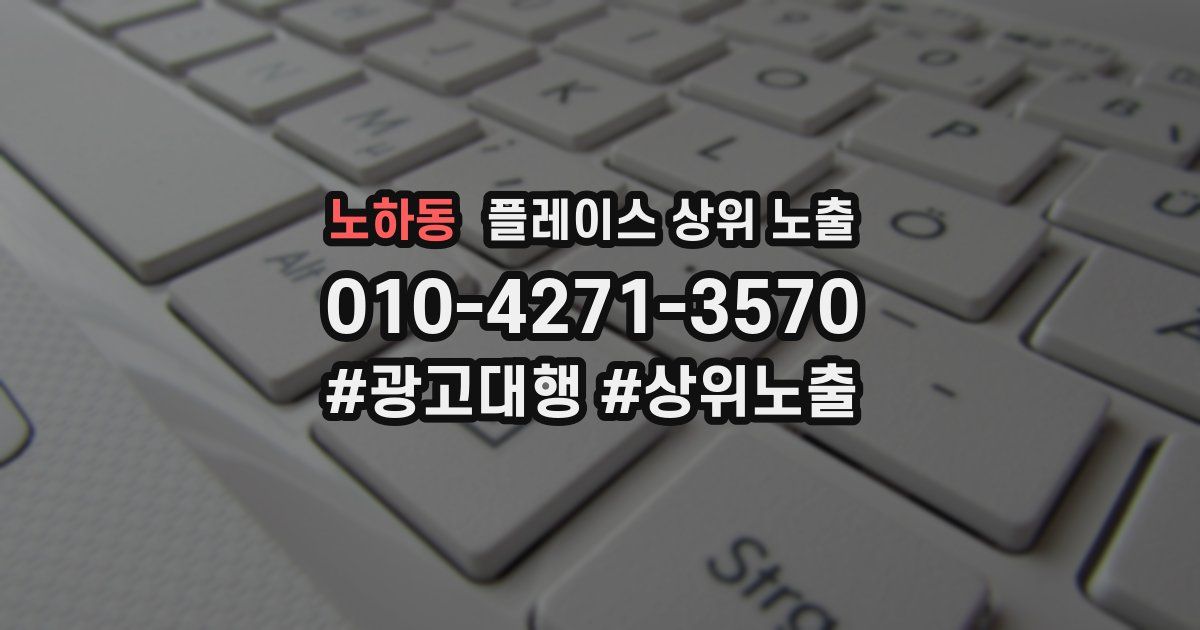 노하동 플레이스 상위 노출 전략