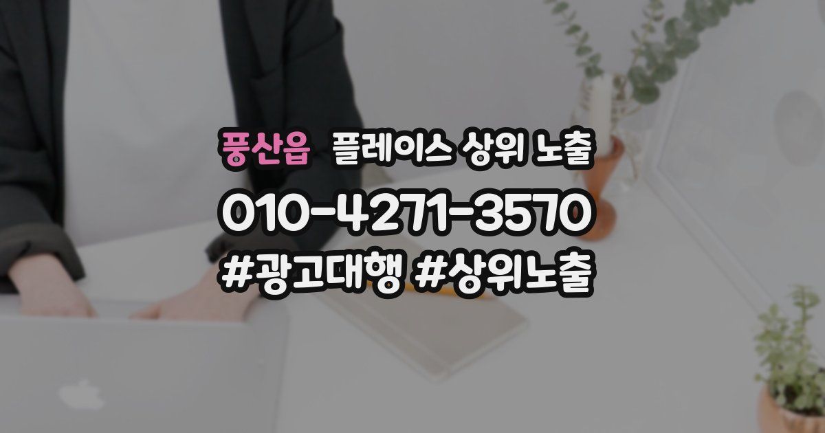 풍산읍 플레이스 상위 노출 안내