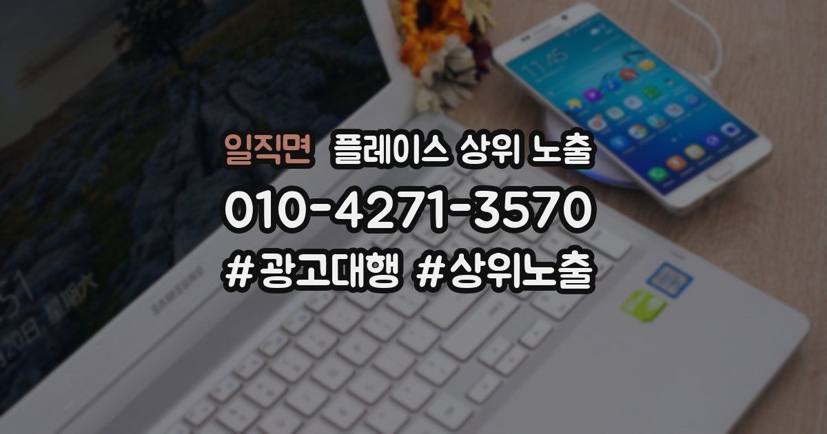 일직면 플레이스 상위 노출 개선