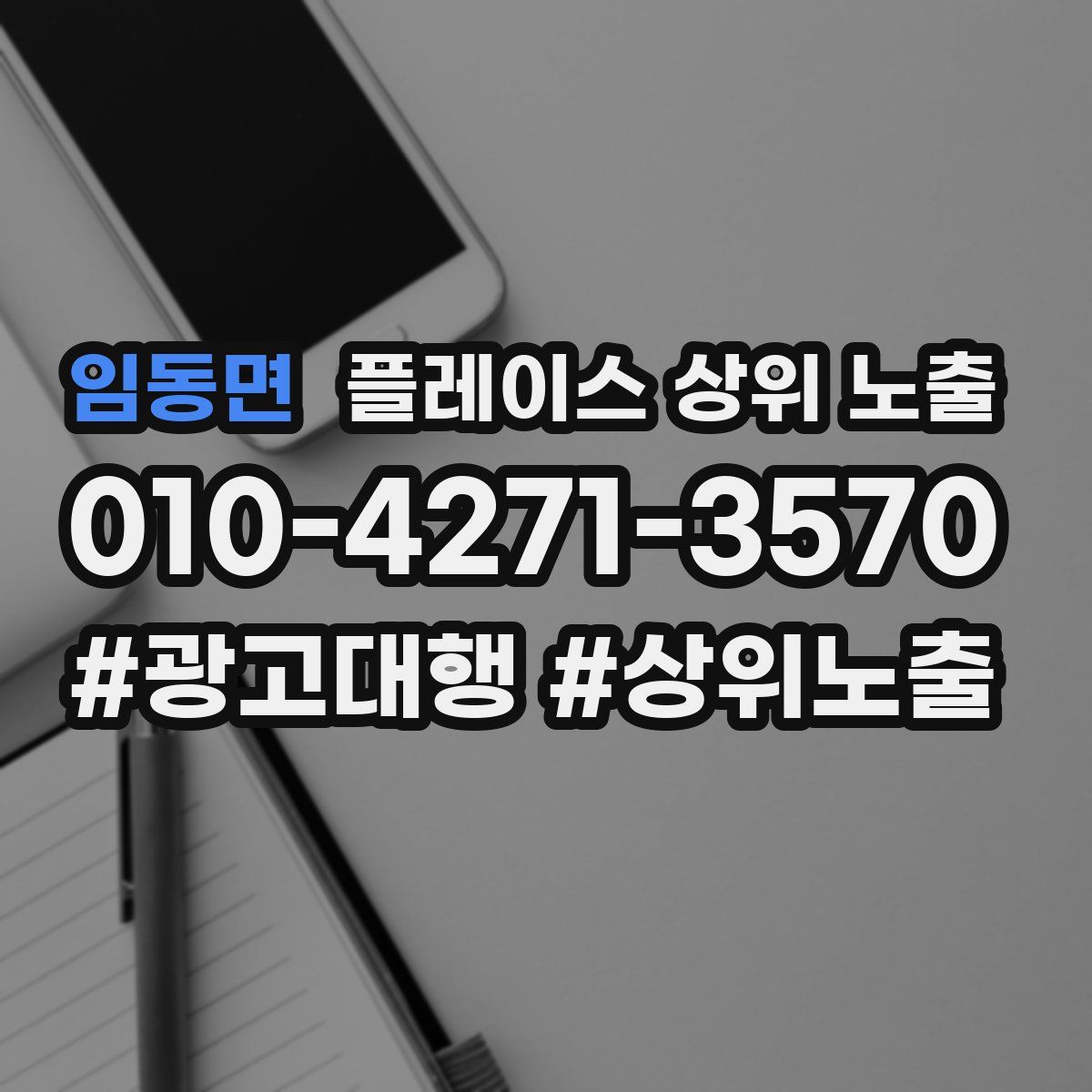 임동면 플레이스 상위 노출 개선